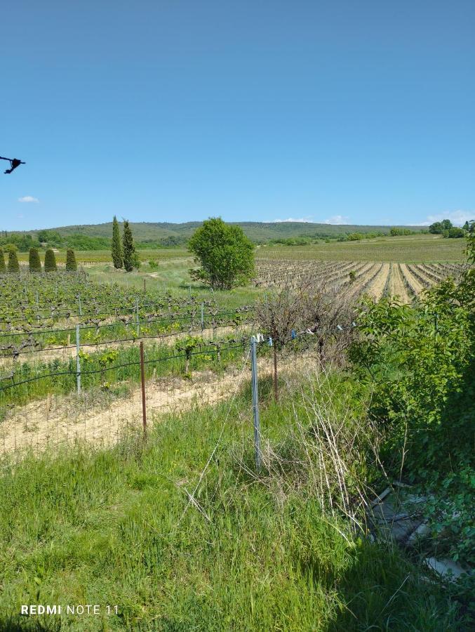 Chambre D Hotes En Provence, Au Pied Du Luberon, Les Coquelicots La Tour-dʼAigues Dış mekan fotoğraf